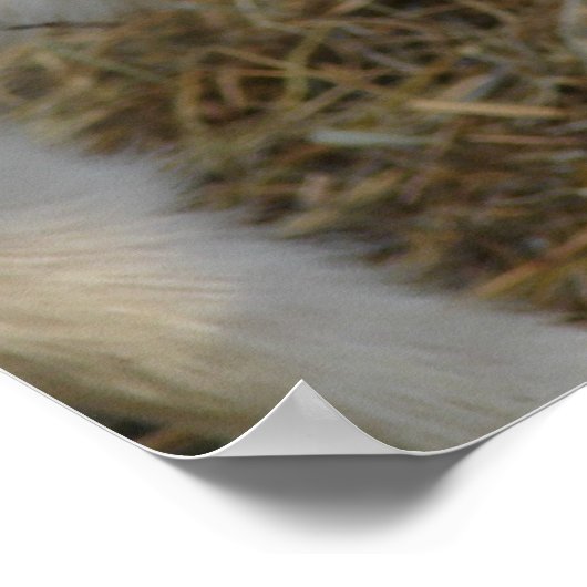 亜美子遊 ポスター (角)