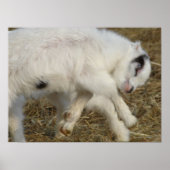 亜美子遊 ポスター (正面)