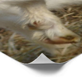 亜美子遊 ポスター (角)