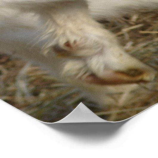 亜美子遊 ポスター (角)