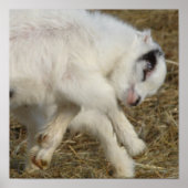 亜美子遊 ポスター (正面)