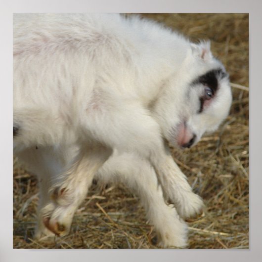 亜美子遊 ポスター (正面)