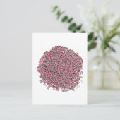 亜胡 ポストカード (スタンド正面)