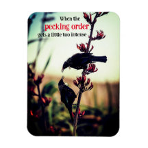 亜麻の上で戦うトゥイ鳥