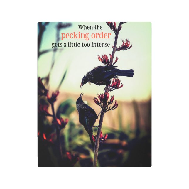 亜麻の上で戦うトゥイ鳥 メタルプリント (正面)