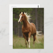 亜麻色のマネと尾を持つサレル ポストカード (正面/裏面)