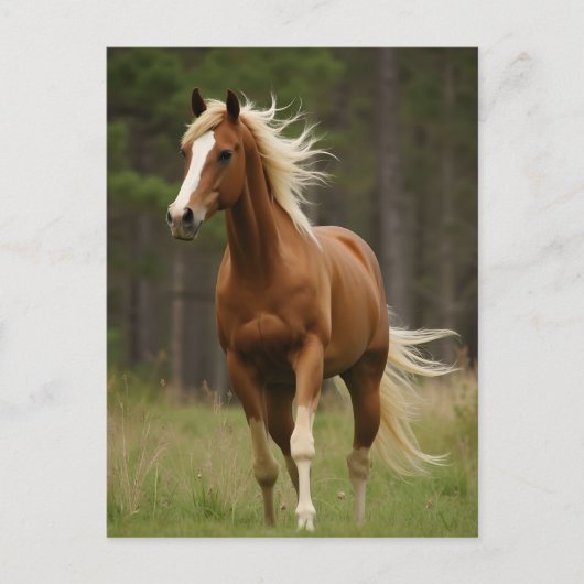 亜麻色のマネと尾を持つサレル ポストカード (正面)