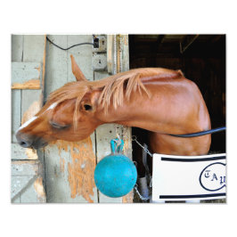 亜麻色の「すべて含む」 フォトプリント           