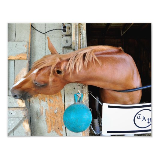 亜麻色の「すべて含む」 フォトプリント            (正面)