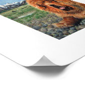 交友 ポスター (角)