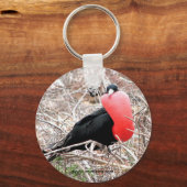 交尾表示ガラパゴスのフリゲート鳥（フラガータ） キーホルダー (正面)