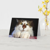 交差させた注目された猫およびてんとう虫の誕生日 カード (黄色い花)