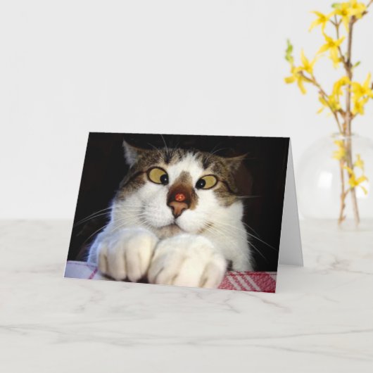 交差させた注目された猫およびてんとう虫の誕生日 カード (黄色い花)