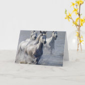 交差するために湿地帯で走っているCamargueの馬 カード (黄色い花)