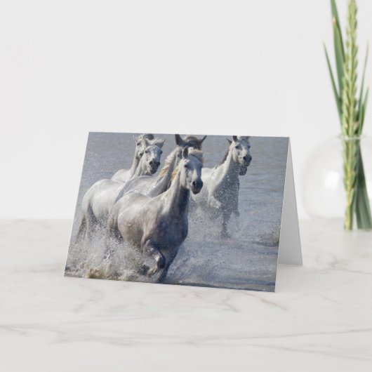 交差するために湿地帯で走っているCamargueの馬 カード (正面)