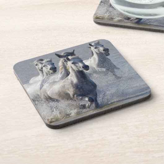 交差するために湿地帯で走っているCamargueの馬 コースター (左側)