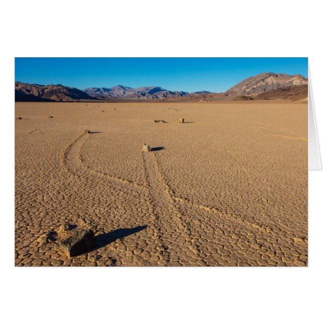 交差道 (正面横)