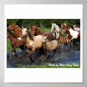 交差 ポスター (正面)