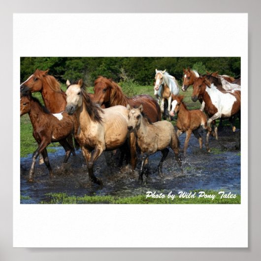 交差 ポスター (正面)