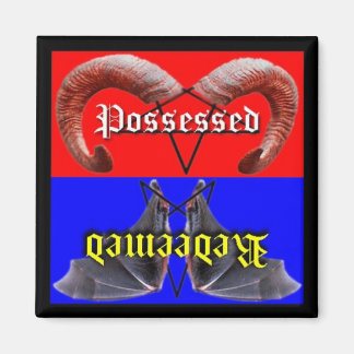 交換・所有食洗機磁石 マグネット