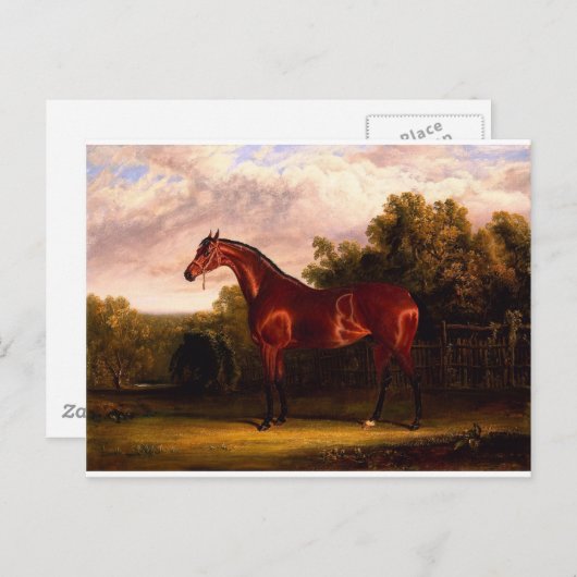 交渉者 ポストカード (正面/裏面)