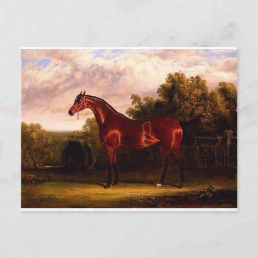 交渉者 ポストカード (正面)