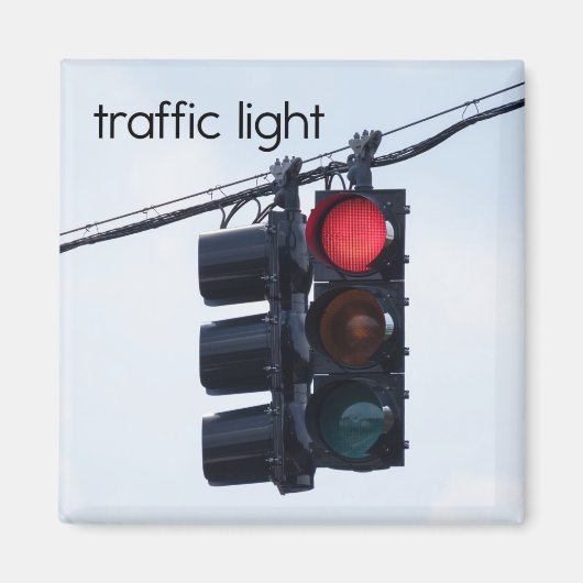 交通信灯冷凍機磁石 マグネット (正面)