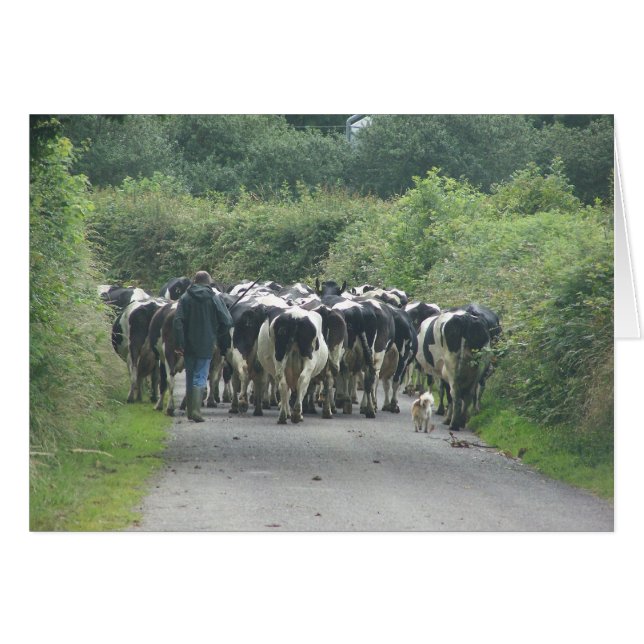 交通渋滞! (正面横)