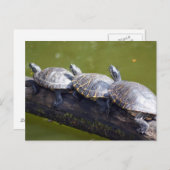 交通渋滞 ポストカード (正面/裏面)