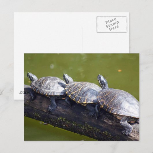 交通渋滞 ポストカード (正面/裏面)