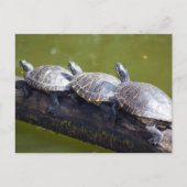 交通渋滞 ポストカード (正面)