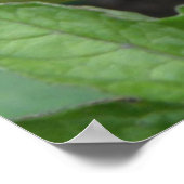 交通灯トマトのポスター ポスター (角)