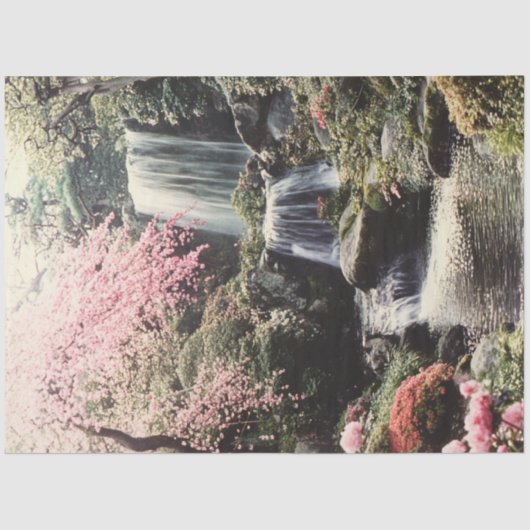 京都の庭園を滝のように切り離す 薄葉紙 (正面)