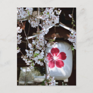 京都の桜祭り ポストカード