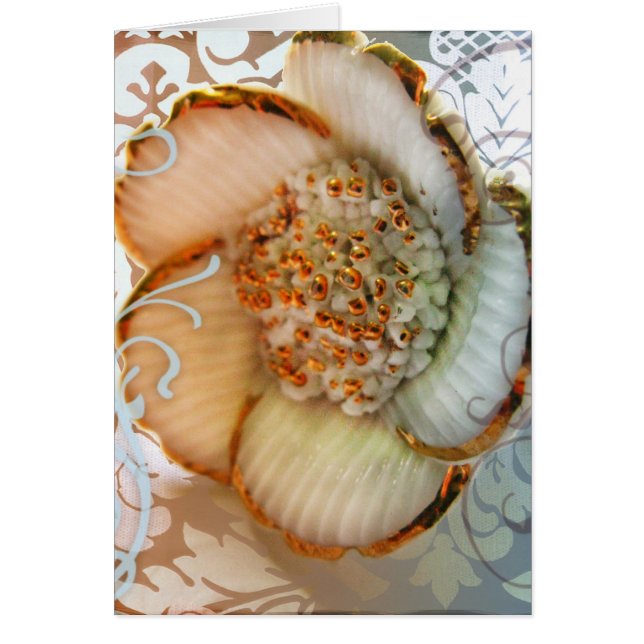 京都の桜 (正面)