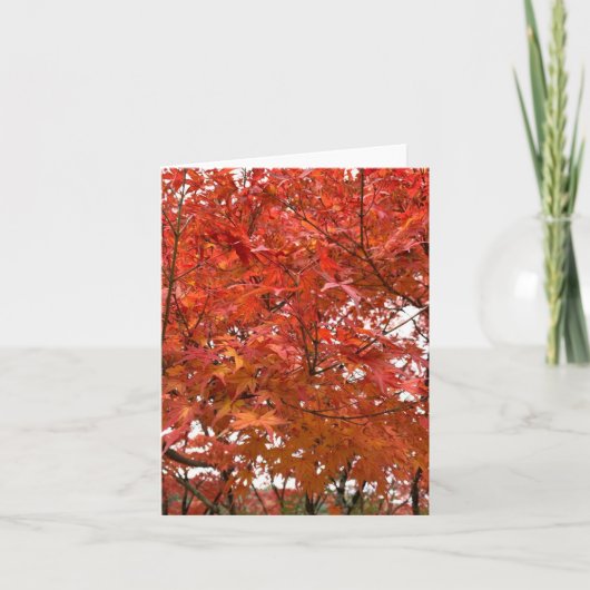 京都の紅葉 カード (正面)