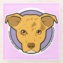 京都キューティエピコースター