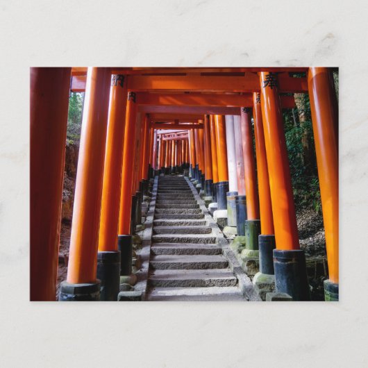 京都伏見稲荷神社鳥居 - ポストカード (正面)