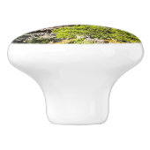 京都市銀閣寺本堂 セラミックノブ (側面)