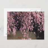 京都府祇園市 ポストカード (正面/裏面)