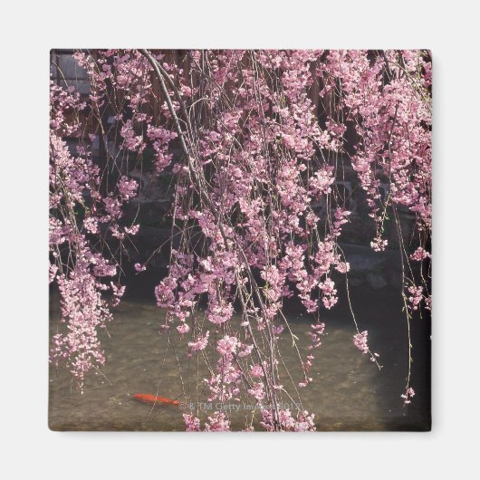 京都府祇園市 マグネット (正面)