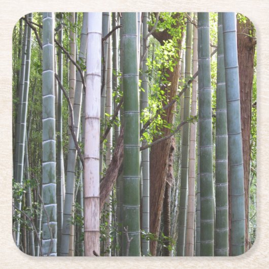 京都日本の嵯峨野の竹林 スクエアペーパーコースター (正面)