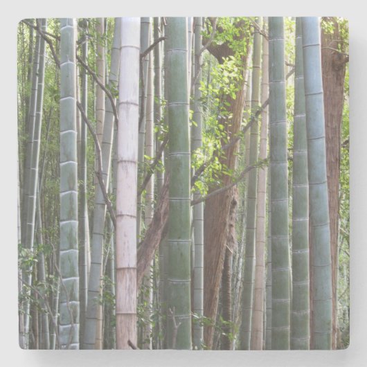 京都日本の嵯峨野の竹林 ストーンコースター (正面)