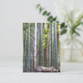 京都日本の嵯峨野の竹林 ポストカード (スタンド正面)