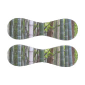 京都日本の嵯峨野の竹林 野球ボール