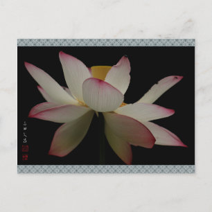 「京都立本寺の蓮」"Lotus at Kyoto Ripponji Temple" ポストカード