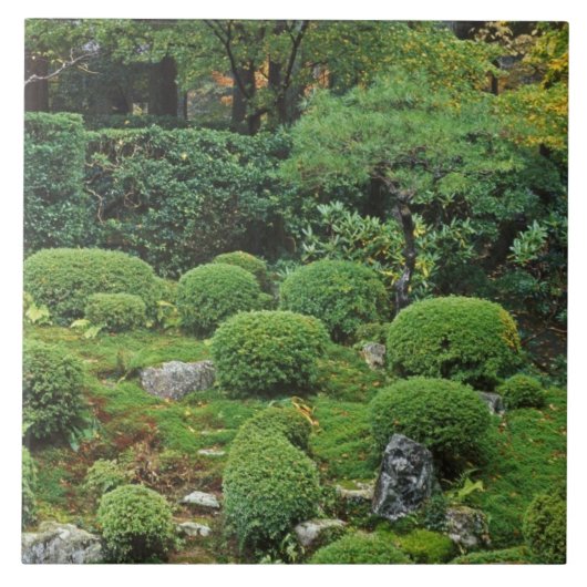 京都·大原三千院 タイル (正面)