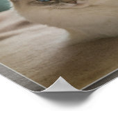 人々が凝視する ポスター (角)