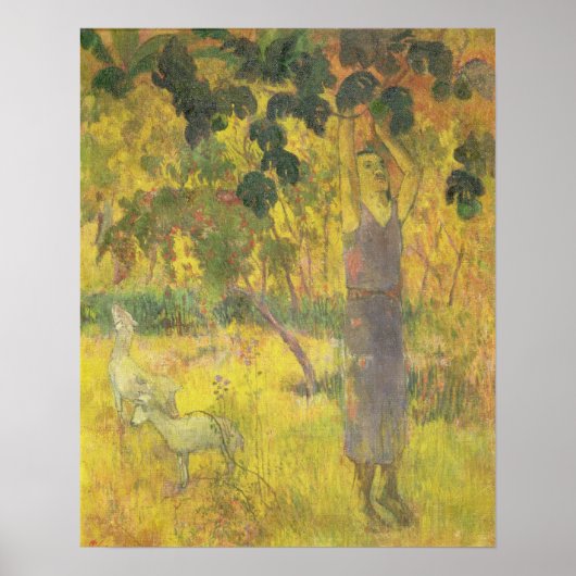 人が木から果実を摘む, 1897 ポスター (正面)