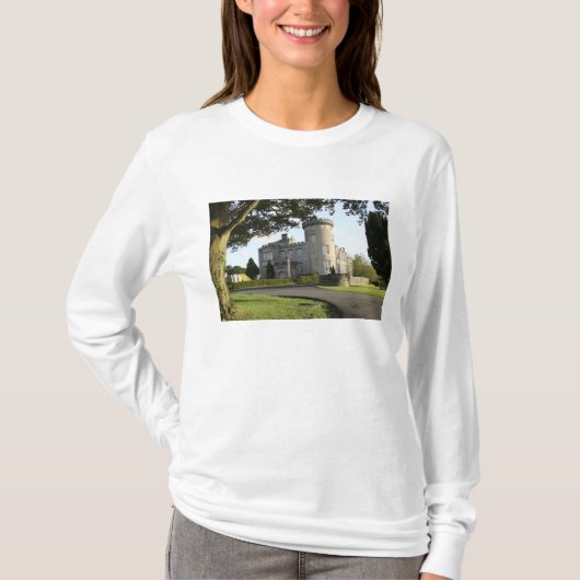 人のいないドロモランド城の脇の入り口 Tシャツ (正面)